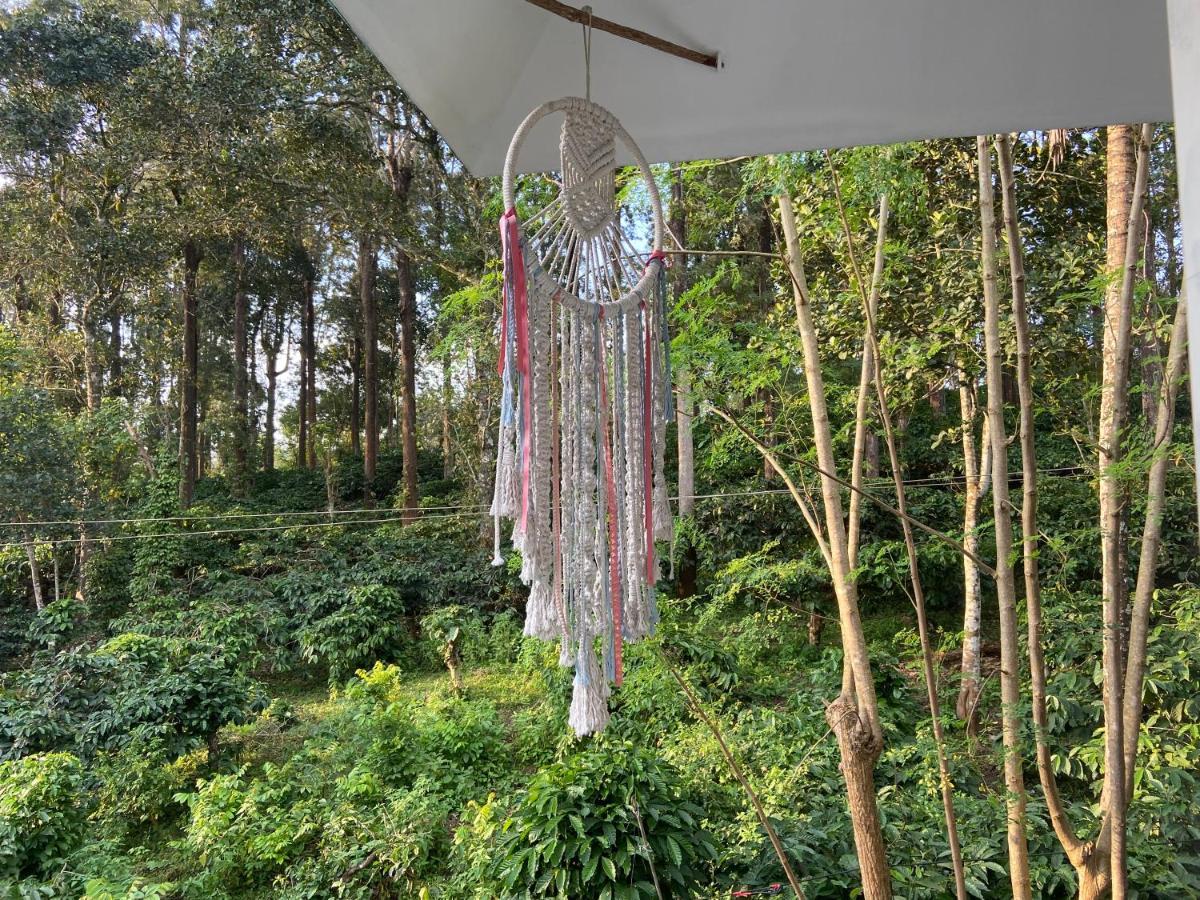 Ammus Homestay تيكَدِيْ المظهر الخارجي الصورة