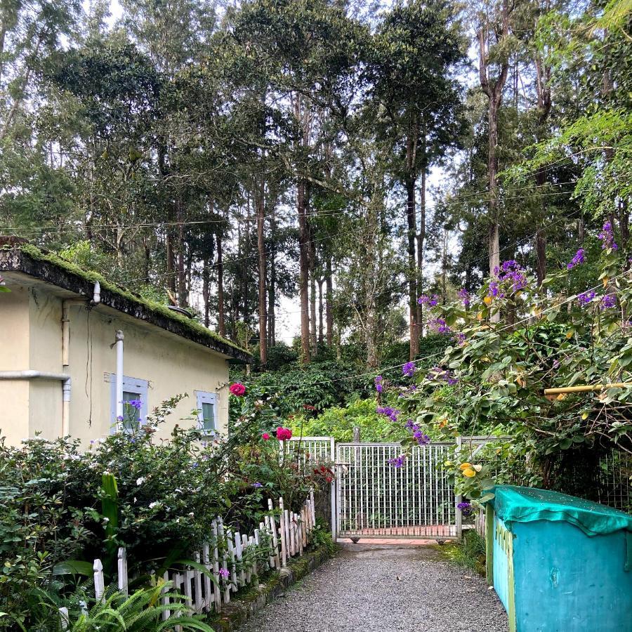 Ammus Homestay تيكَدِيْ المظهر الخارجي الصورة